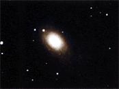 ��������� NGC 3031