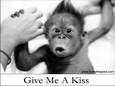 Give Me a Kiss