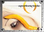 Perfect Circle - Thirteenth Step album cover