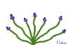 Violets